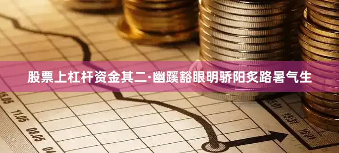 股票上杠杆资金其二·幽蹊豁眼明骄阳炙路暑气生