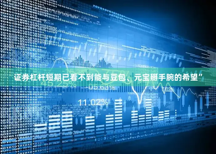 证券杠杆短期已看不到能与豆包、元宝掰手腕的希望”