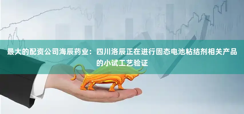 最大的配资公司海辰药业：四川洛辰正在进行固态电池粘结剂相关产品的小试工艺验证