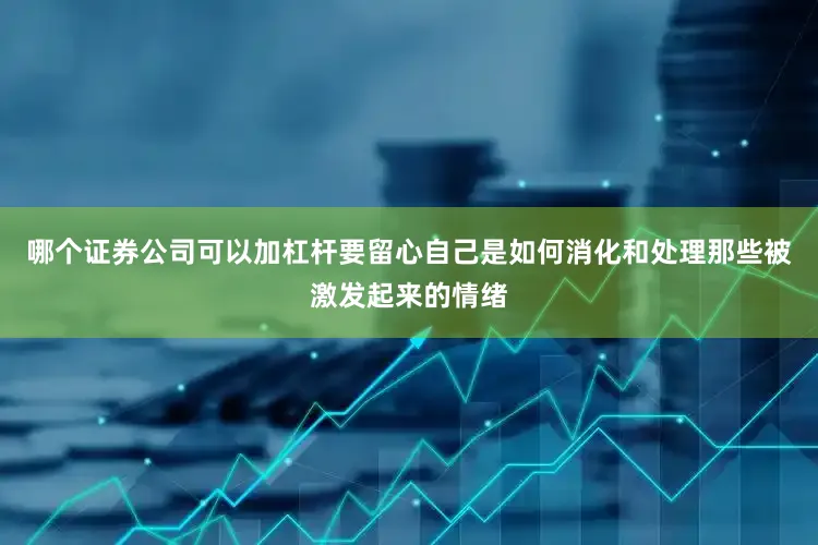 哪个证券公司可以加杠杆要留心自己是如何消化和处理那些被激发起来的情绪