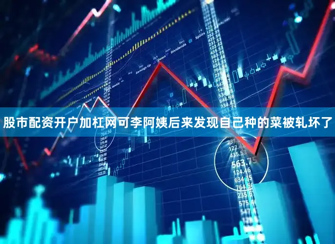 股市配资开户加杠网可李阿姨后来发现自己种的菜被轧坏了