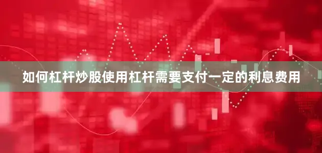 如何杠杆炒股使用杠杆需要支付一定的利息费用
